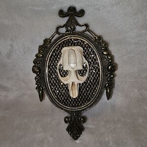 Taxidermy Muskrat Skull